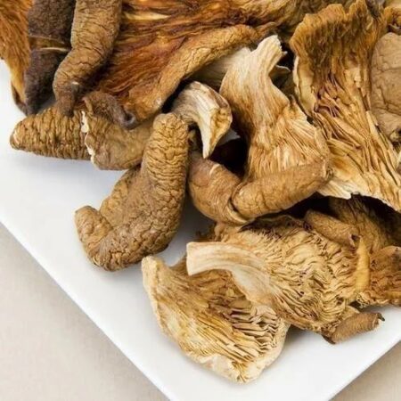 Dried Oyster Mushroom Mix – Premium Gourmet Oyster Blend