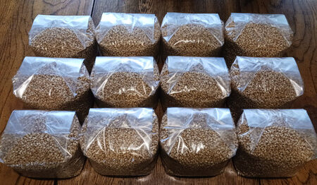 Sterilized Grain Substrate – 2.5kg Sterilized Grain Bag